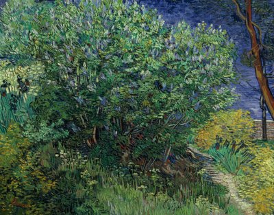 Lilac Bush by Vincent van Gogh